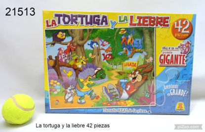 Imagen de LA TORTUGA Y LA LIBRE 48 P.   6.24